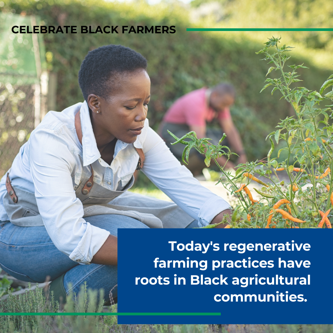 Black History Month: Honoring the Contributions of Black Farmers - SiX ...